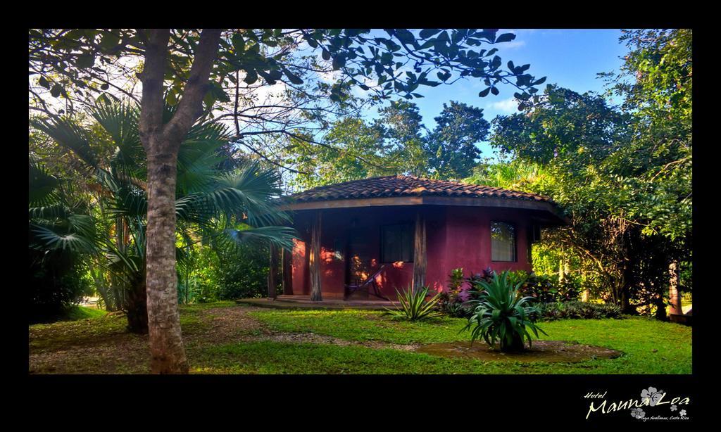 Hotel Mauna Loa Pinilla Ruang foto
