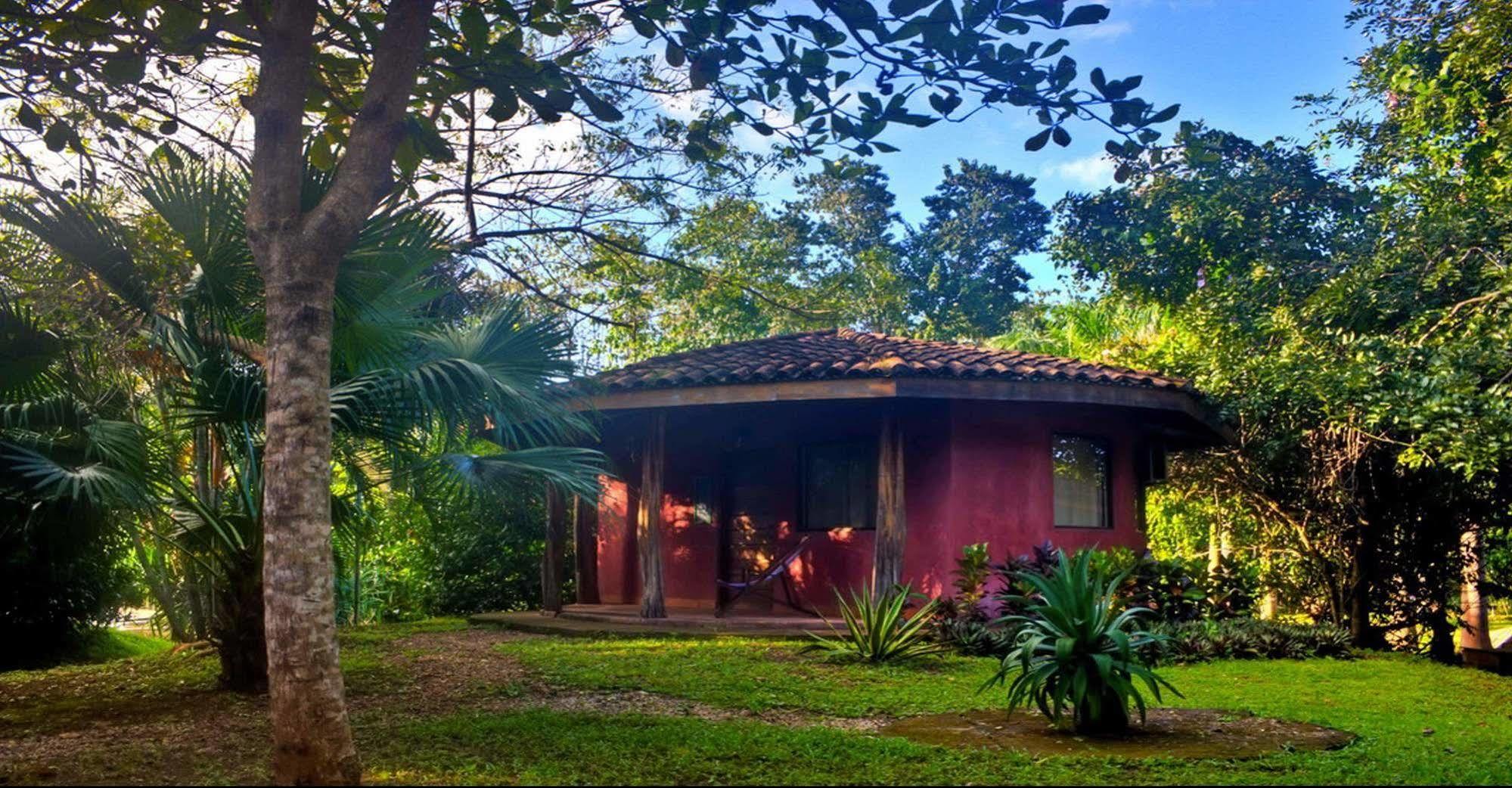 Hotel Mauna Loa Pinilla Bagian luar foto